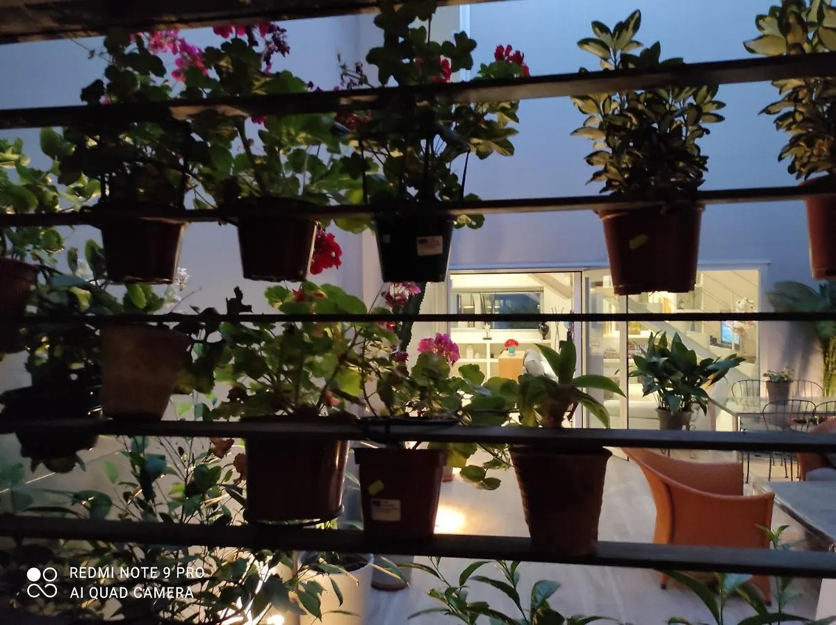 Homestay szállás Habitacion Y Bano En Planta Independiente En Centro De Sevilla Spanyolország